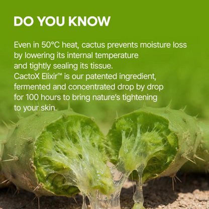 Youth Bay™ Cactus V-Lift Mask